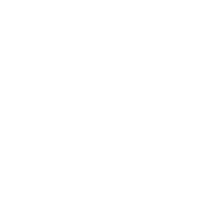 Ottawa's Bespoke Vodka & Gin Spirit Festival